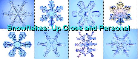 Snowflakes: Up Close and Personal
