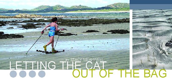 LETTING THE CAT OUT OF THE BAG BY STACY MEANWELL