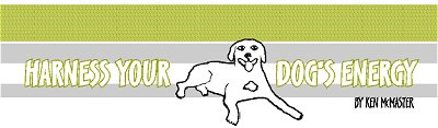 Harness Your Dogs Energy
