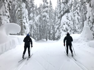 Snowy adventures in the woods with Julia and Annie. [Photo] Erika Flowers