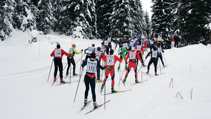 Bâton de Ski Alpin Adulte - Ski Town