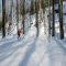 ABR skier