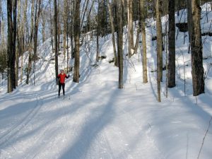 A skier in the woods at ABR.